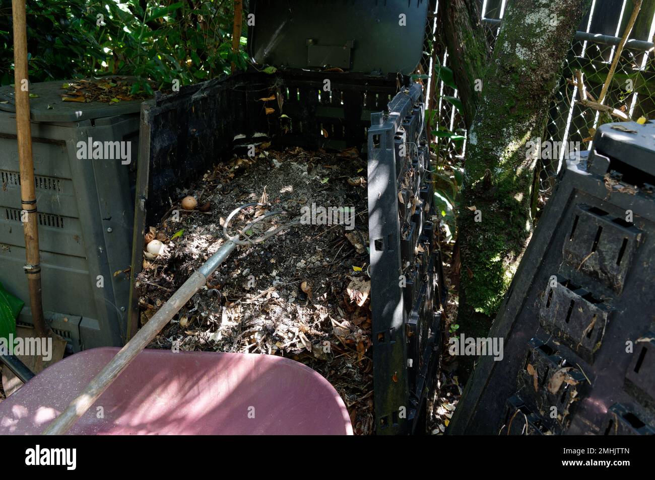 A compost bin is open, it has rotted down the vegetation and is now ...