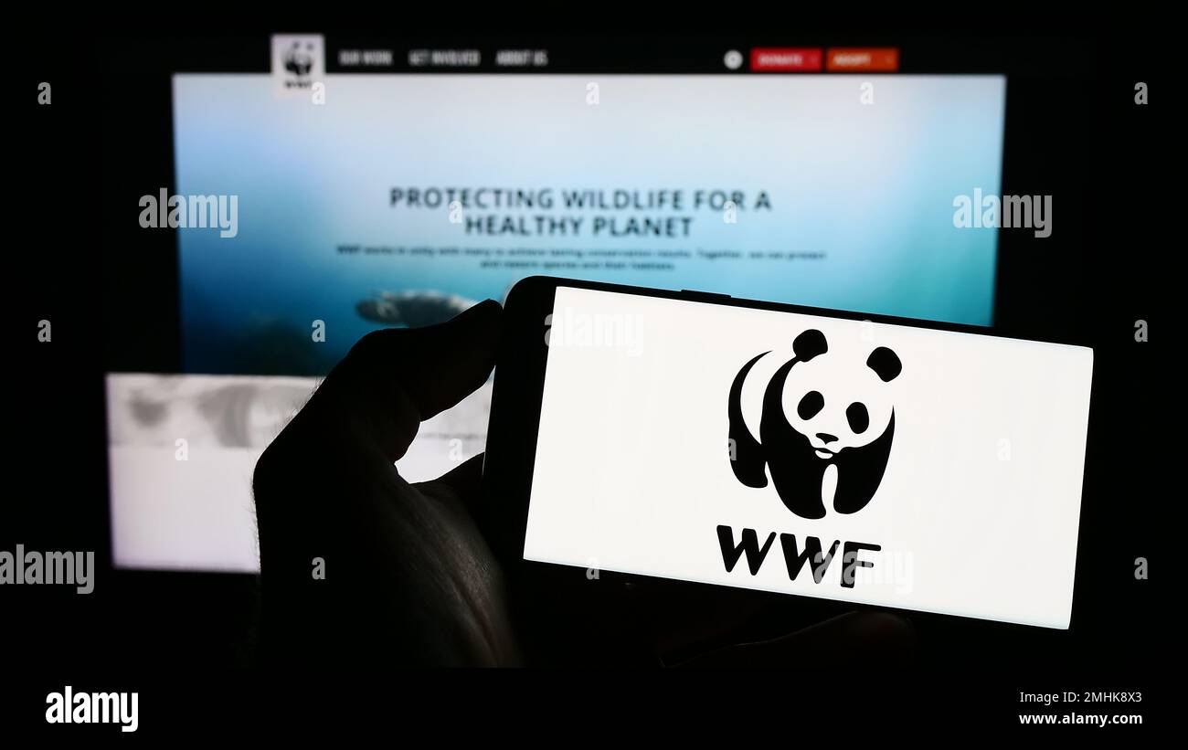 Person holding cellphone with logo of World Wide Fund for Nature Inc. (WWF) on screen in front of webpage. Focus on phone display. Stock Photo