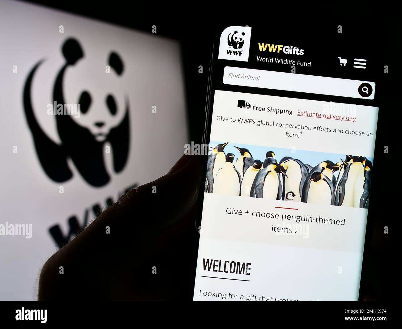 Person holding cellphone with website of World Wide Fund for Nature Inc. (WWF) on screen in front of logo. Focus on center of phone display. Stock Photo