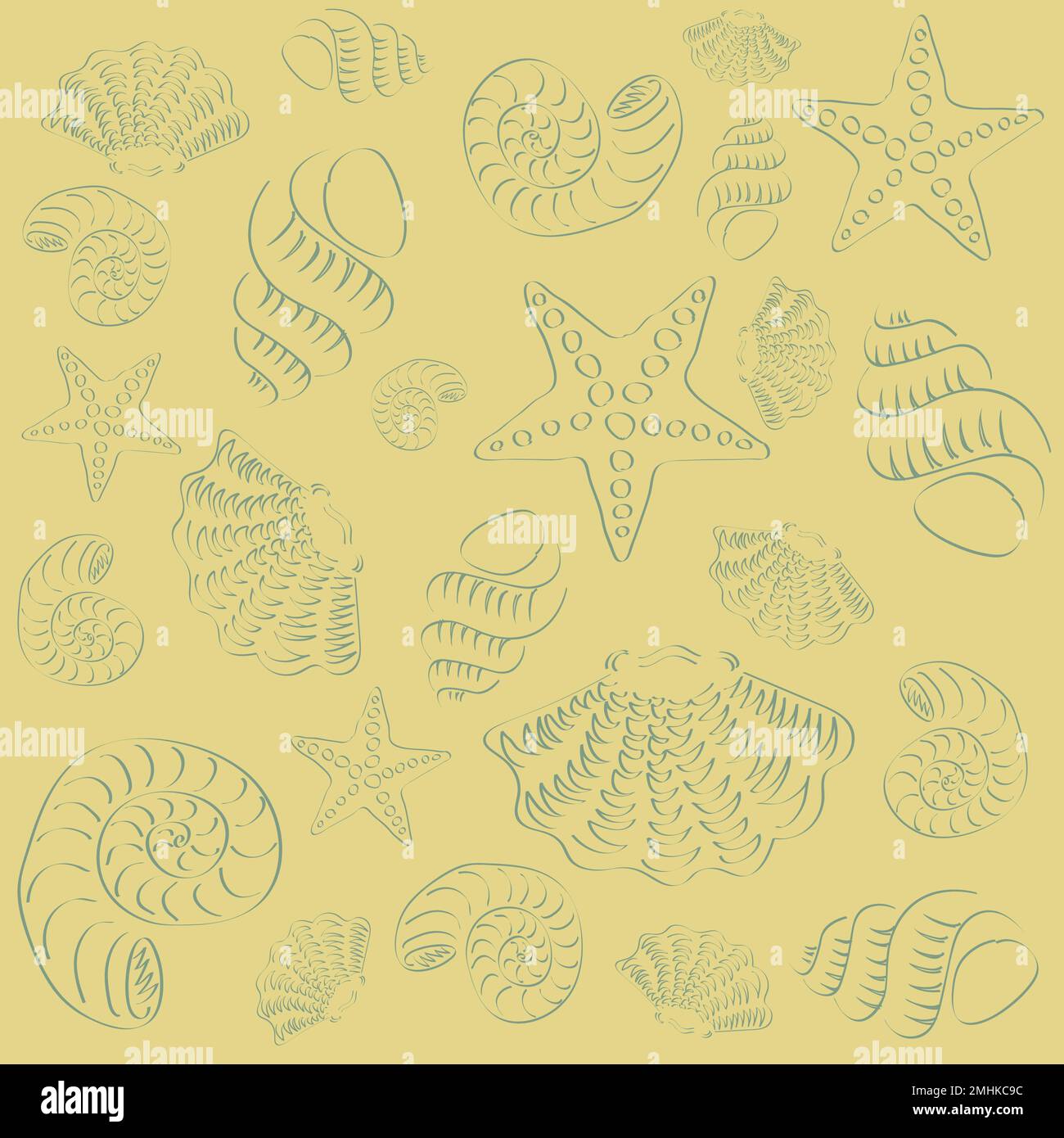 Sea shell decor stock photo. Image of hand, pattern, ethnic - 15107518
