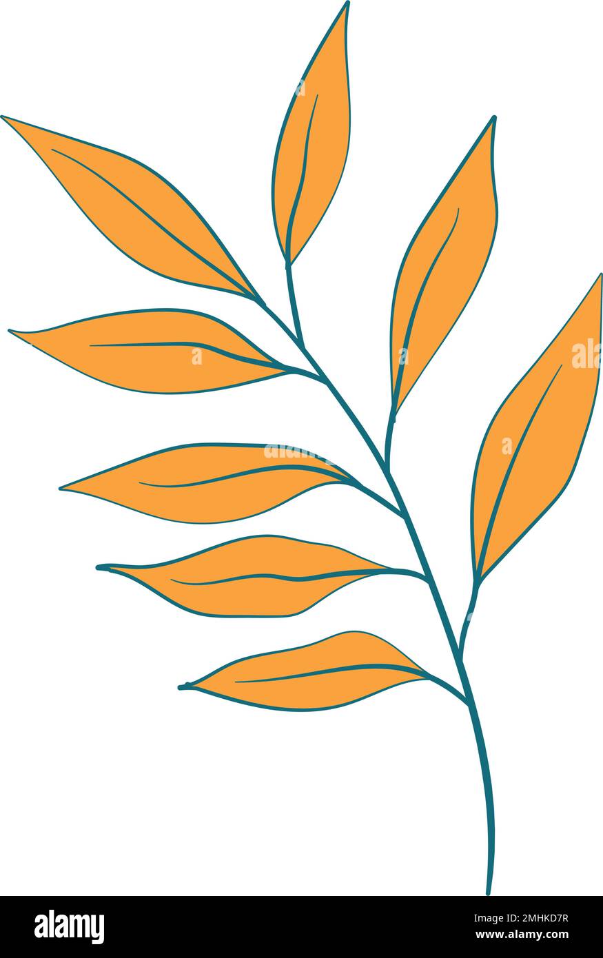 Isolated colored summer leaf sketch icon Vector illustration Stock ...