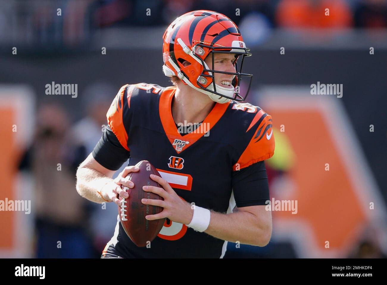 Cincinnati Bengals quarterback Ryan Finley looks to pass during the first  half of NFL football game against the Baltimore Ravens, Sunday, Nov. 10,  2019, in Cincinnati. (AP Photo/Gary Landers Stock Photo - Alamy