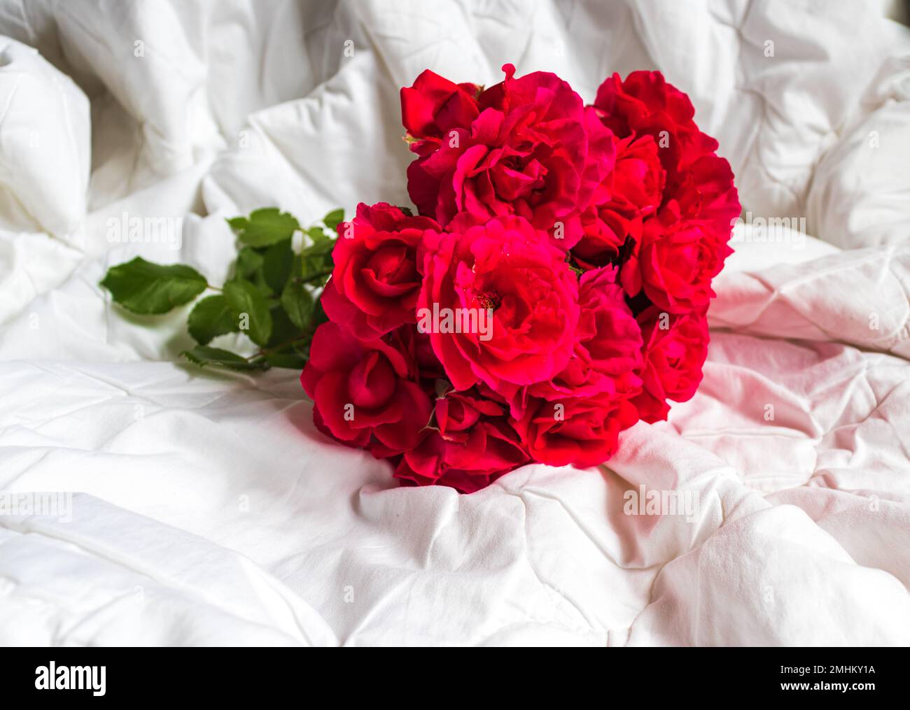 Colorful flower bouquet from red roses isolated on white background ...