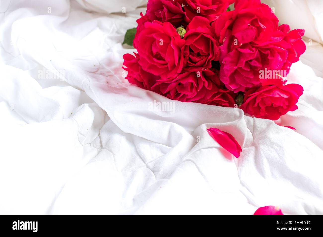 Colorful flower bouquet from red roses isolated on white background ...