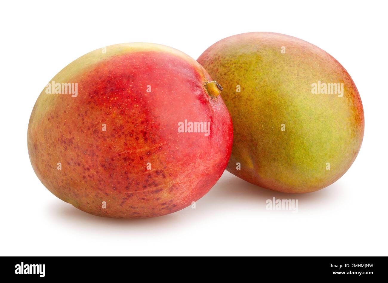 mango path isolated on white Stock Photo