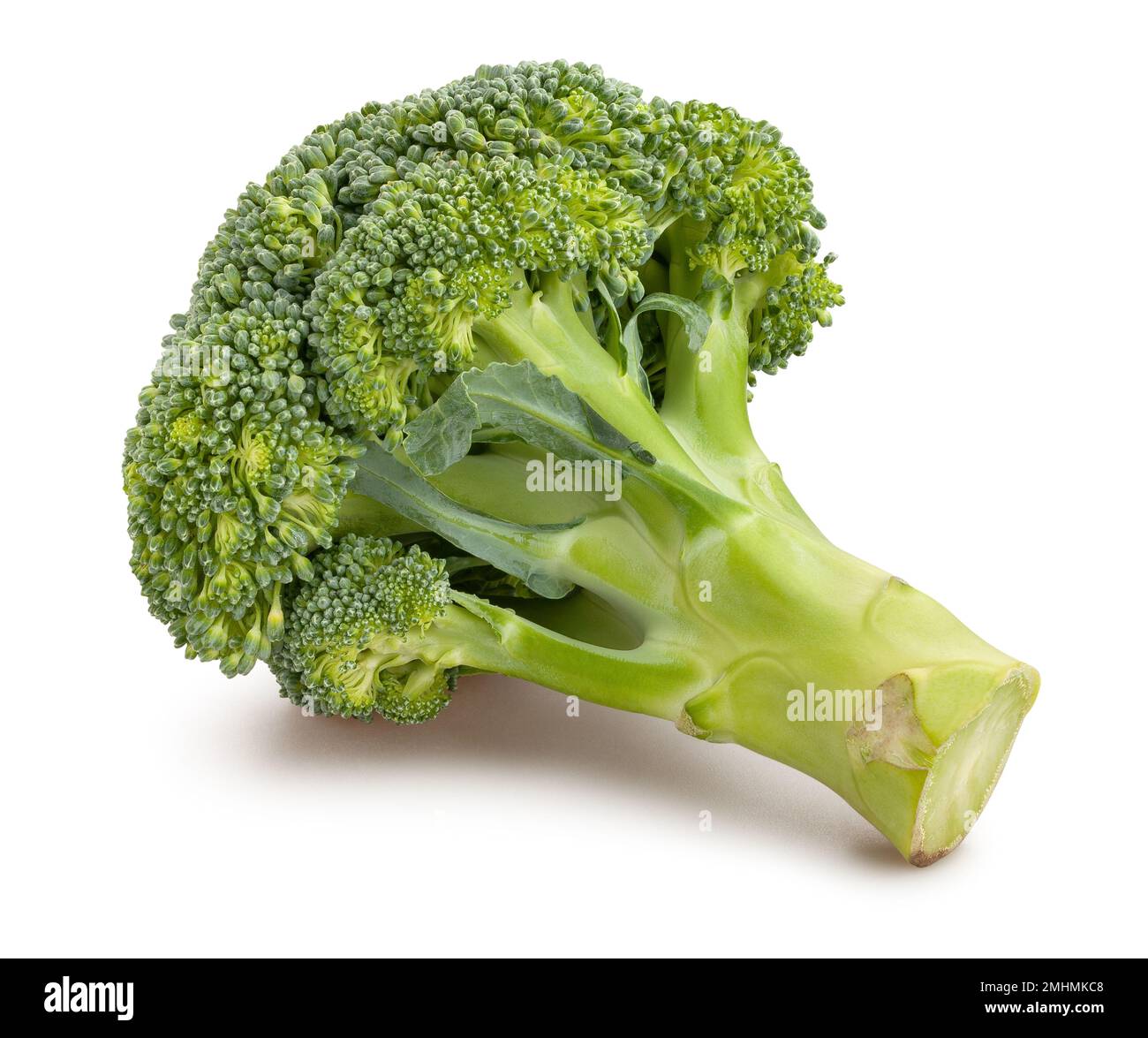 broccoli path isolated on white Stock Photo