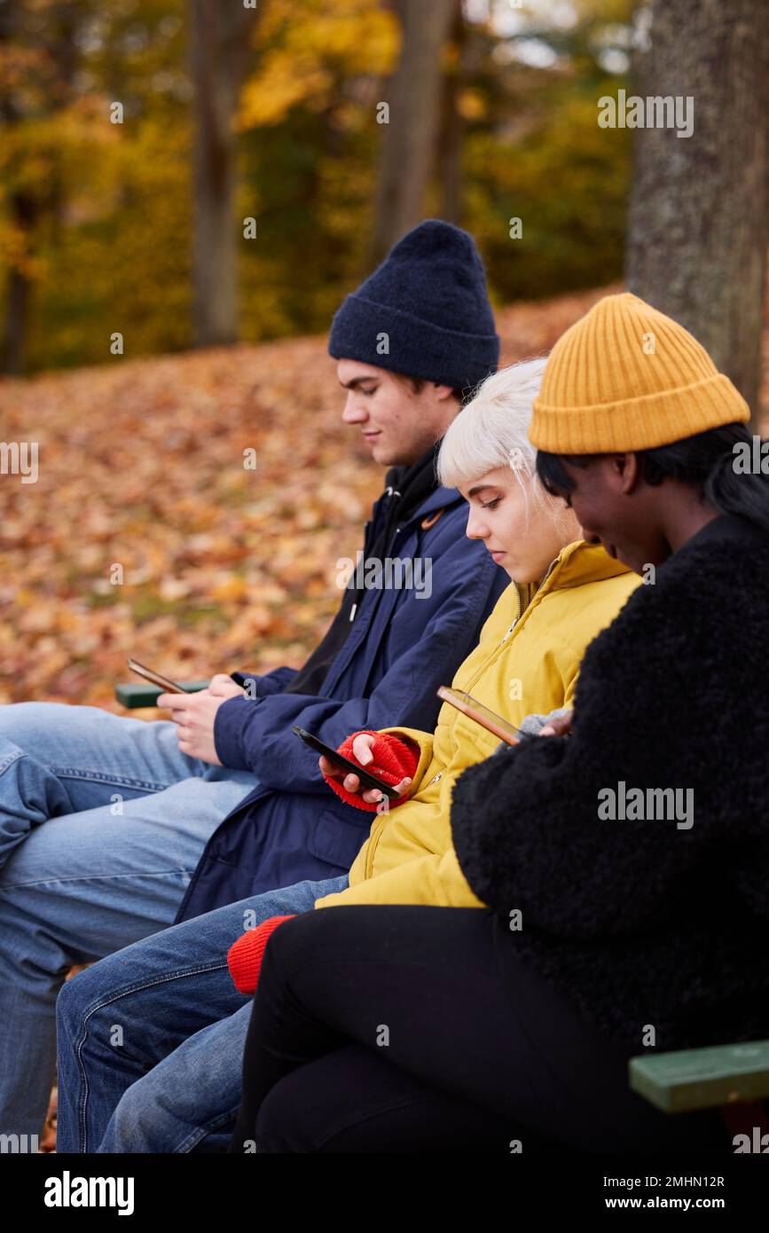Three friends in park using smartphones Stock Photo