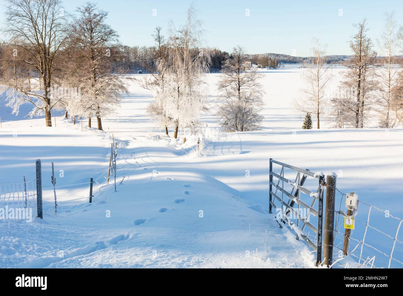 Winter urban landscape snow hi-res stock photography and images - Alamy