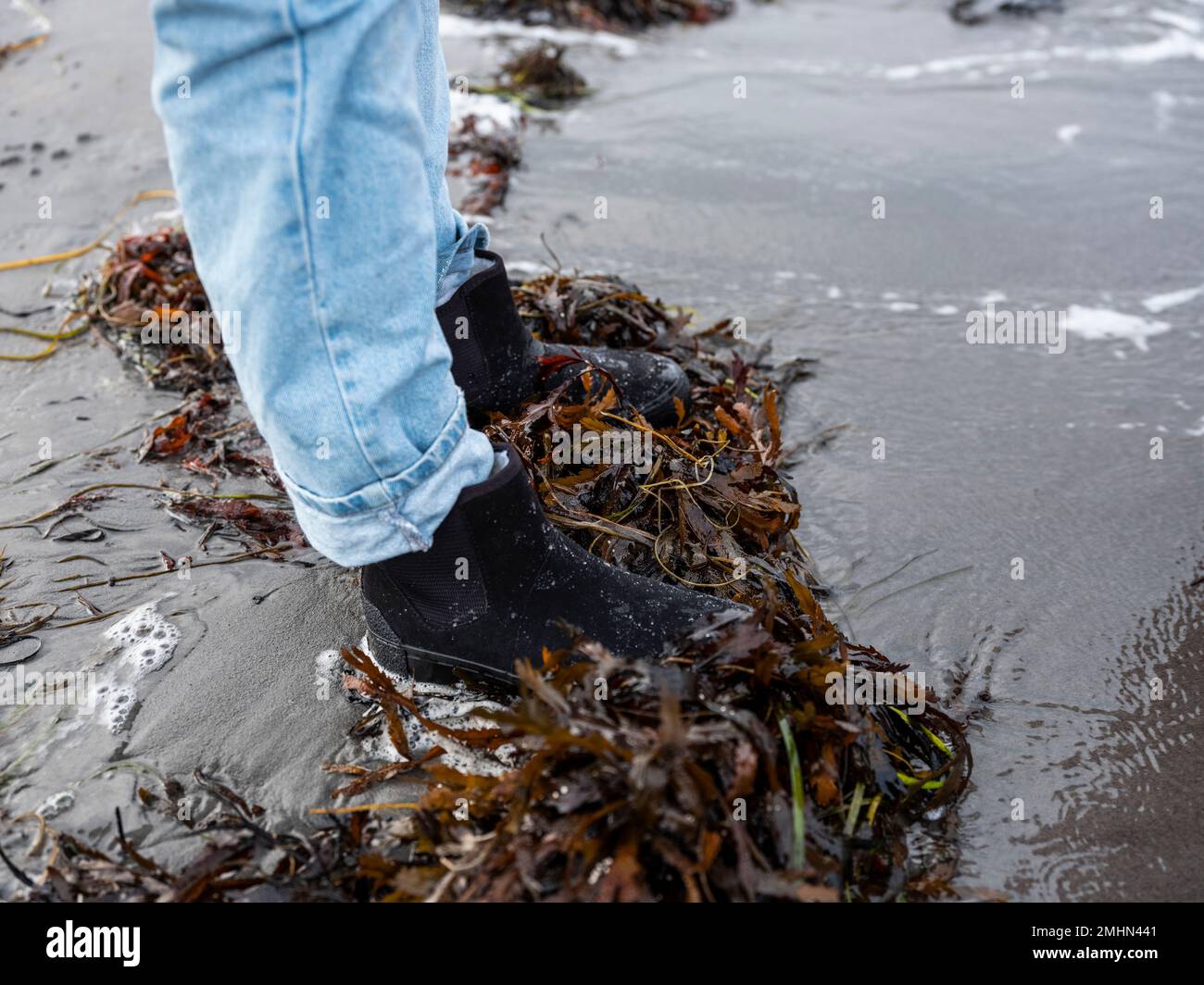 Person standing on seaweeds Stock Photo