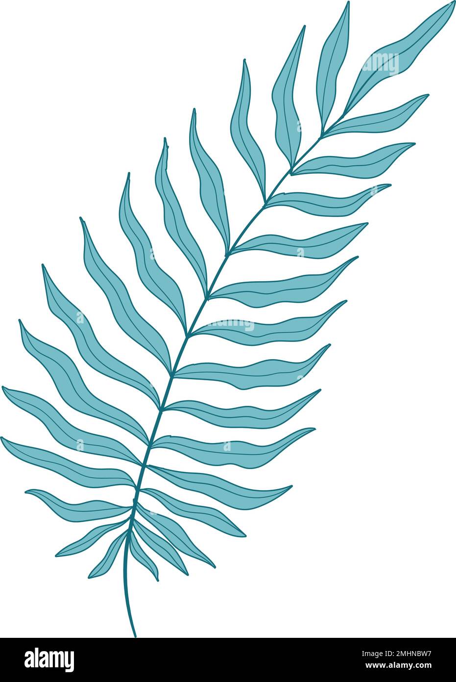 Isolated colored summer leaf sketch icon Vector illustration Stock ...