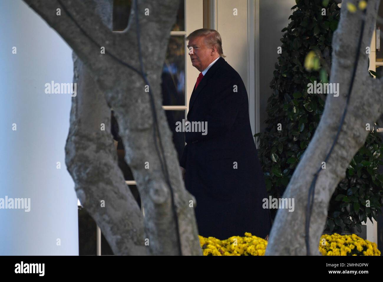 President Donald Trump walks out of the Oval Office of the White House ...