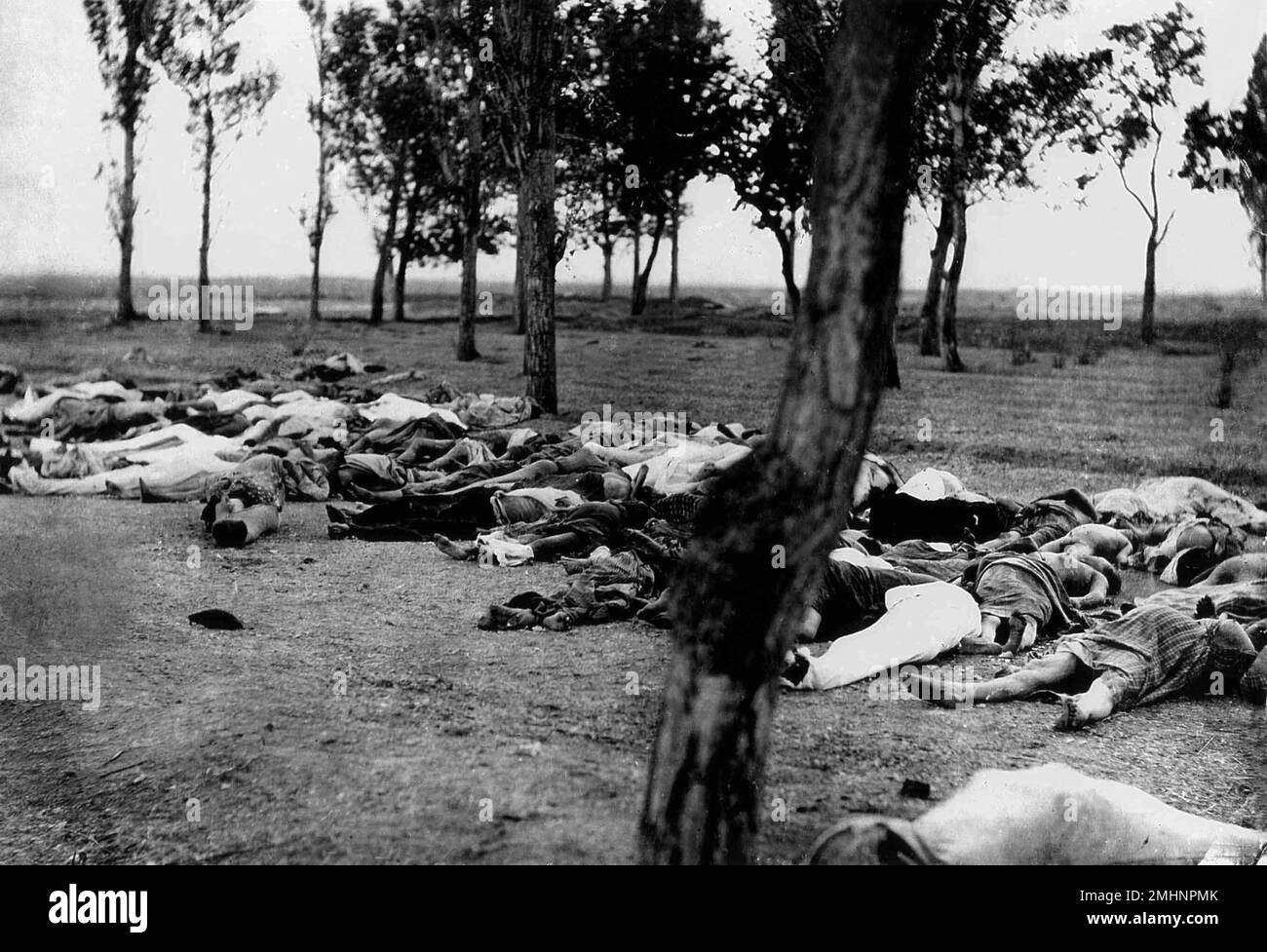 The corpses of Armenians beside a road, a common sight along deportation routes Stock Photo