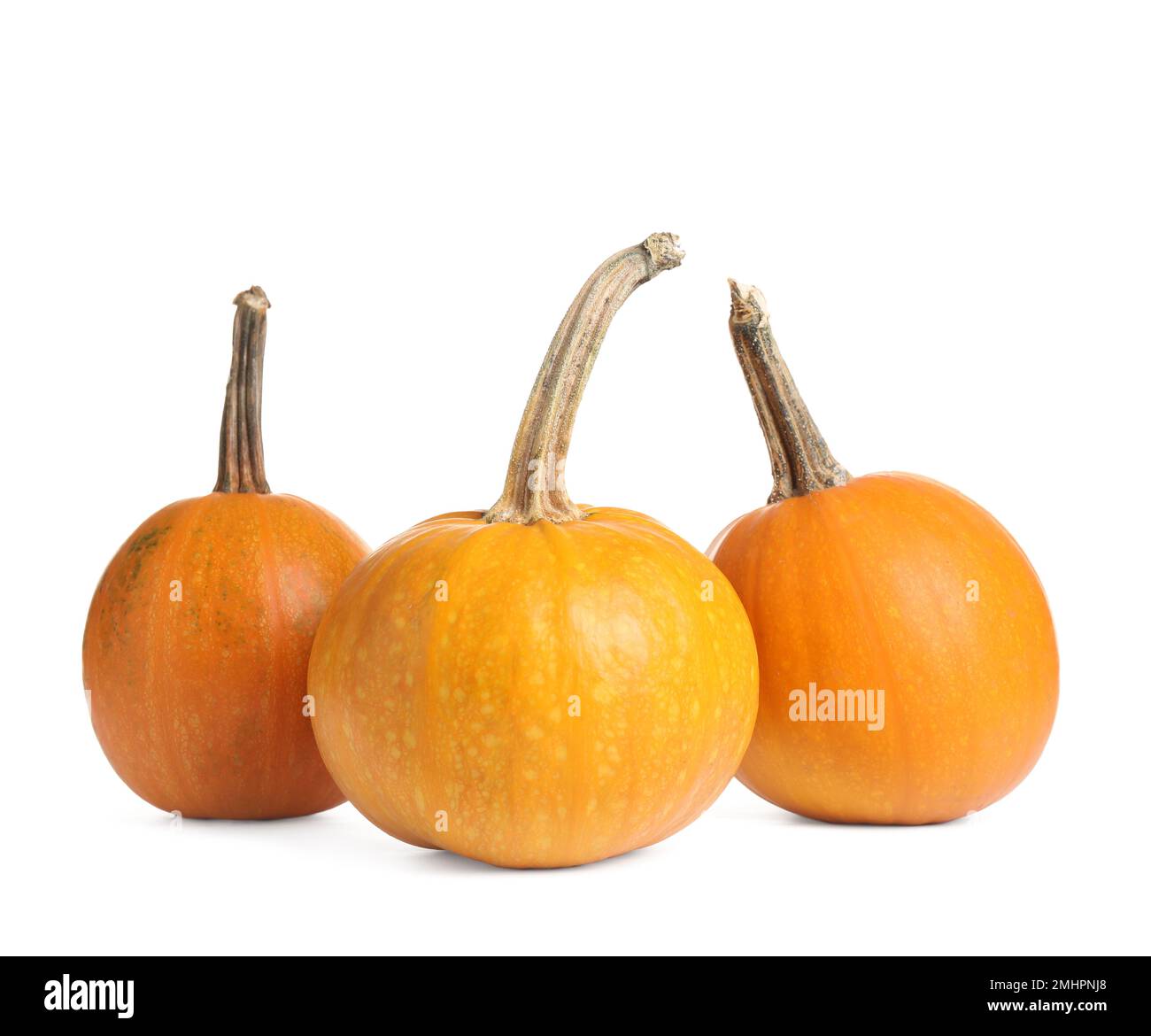 Three whole pumpkins on Cut Out Stock Images & Pictures - Alamy