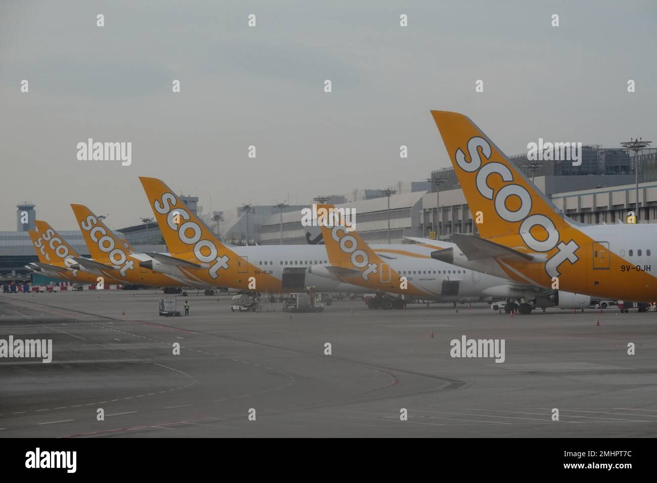 January 2023 Singapore Airlines low cost subsidiary Scoot airplanes at