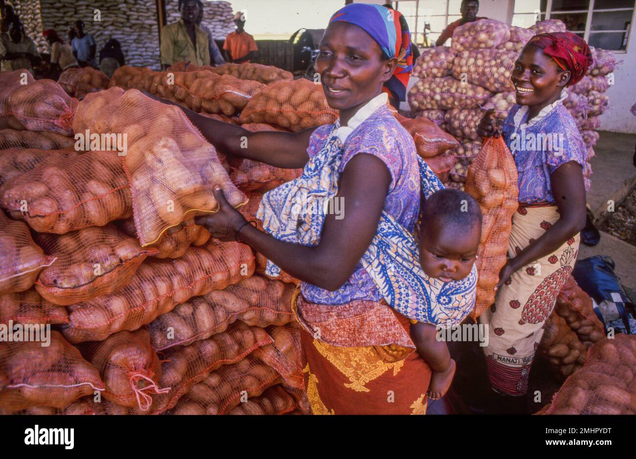 Zambia, Lusaka. Women buying potatoes from a wholesaler. They sell the potatoes in the market by weight. Stock Photo