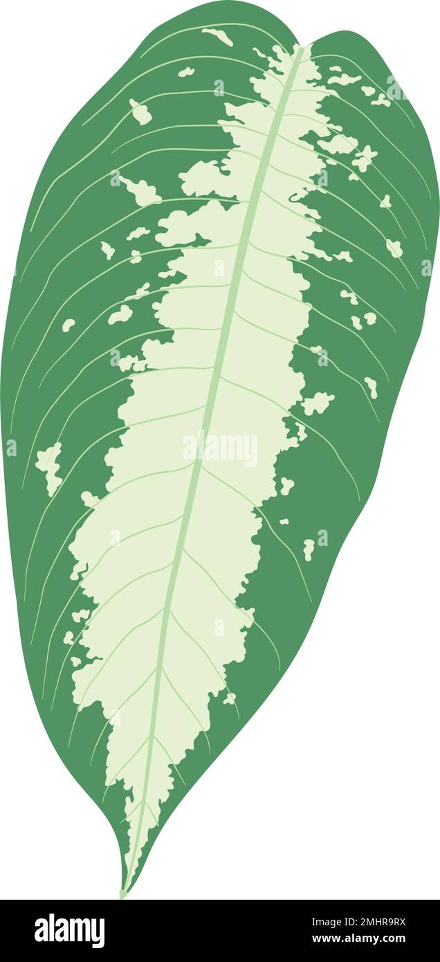 Isolated colored summer leaf sketch icon Vector illustration Stock ...