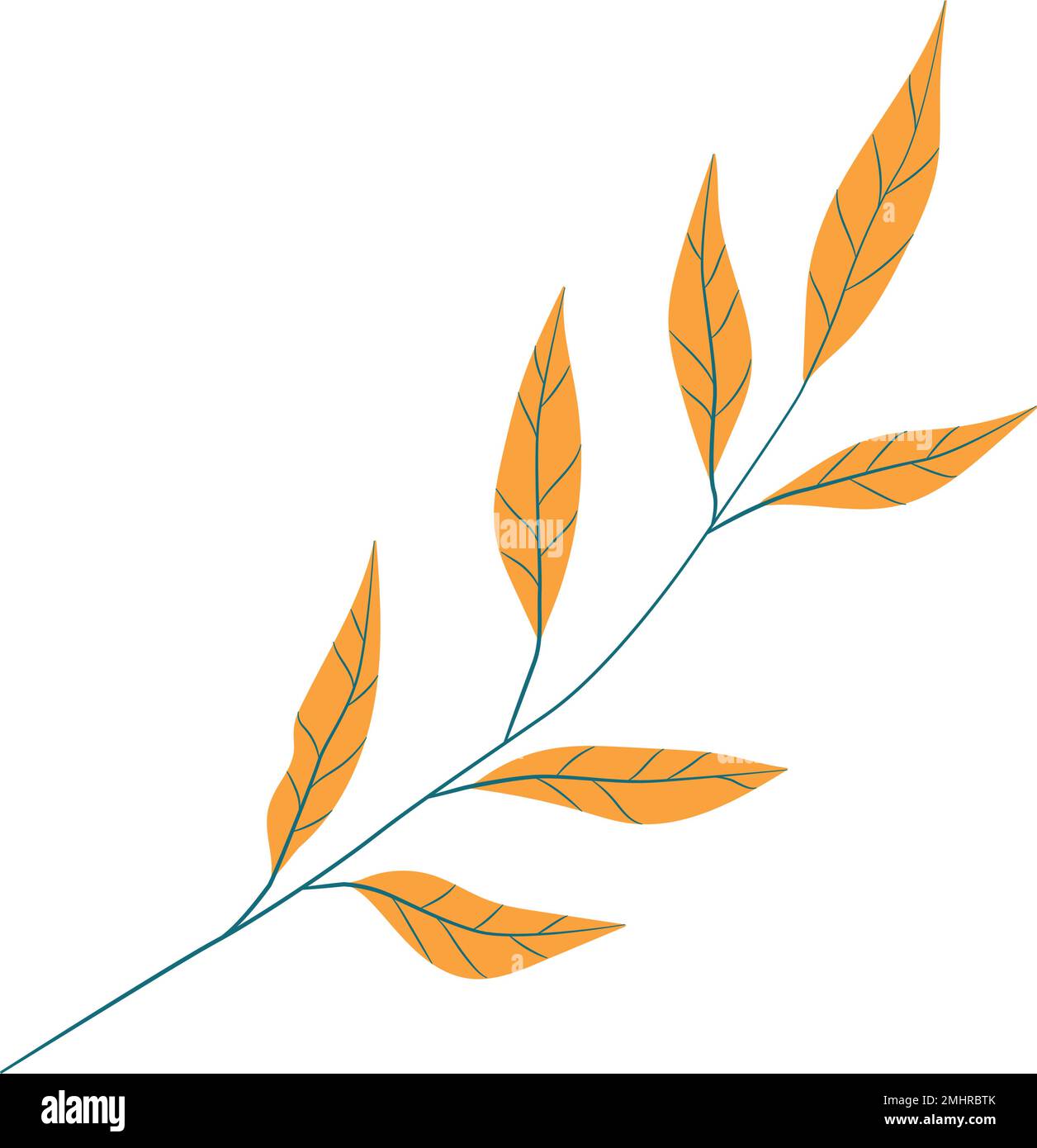 Isolated colored summer leaf sketch icon Vector illustration Stock ...
