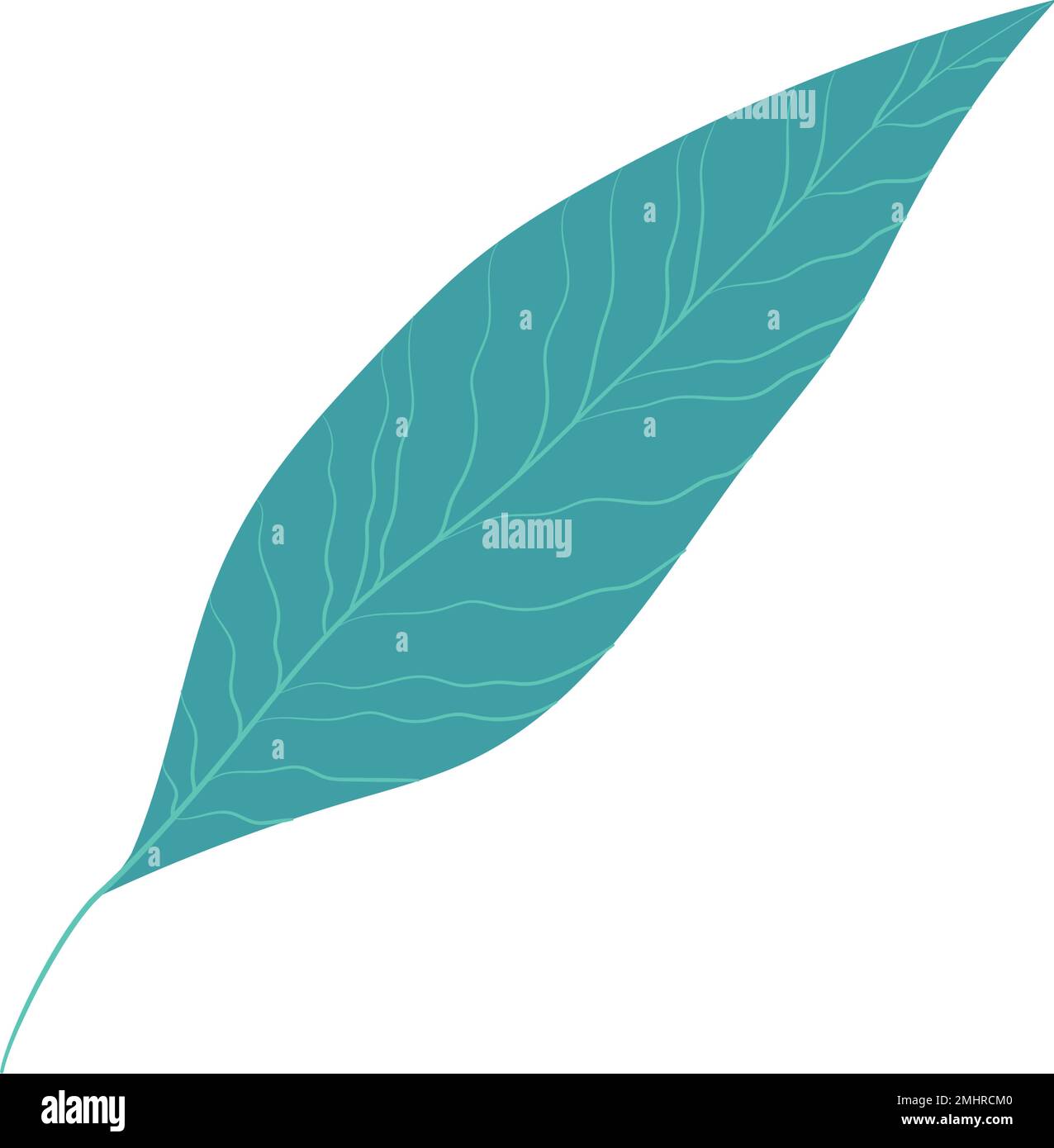 Isolated colored summer leaf sketch icon Vector illustration Stock ...