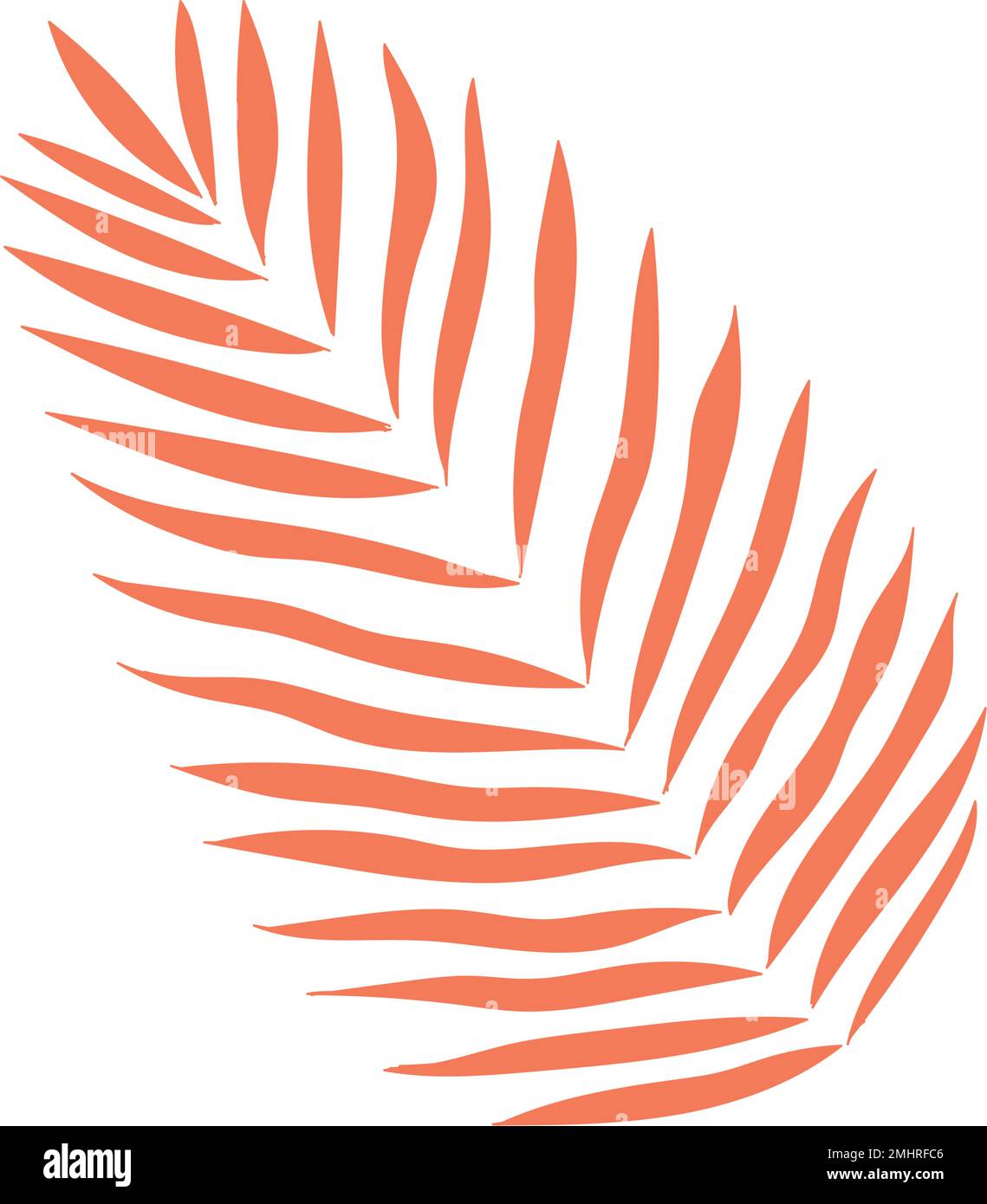 Isolated colored summer leaf sketch icon Vector illustration Stock ...