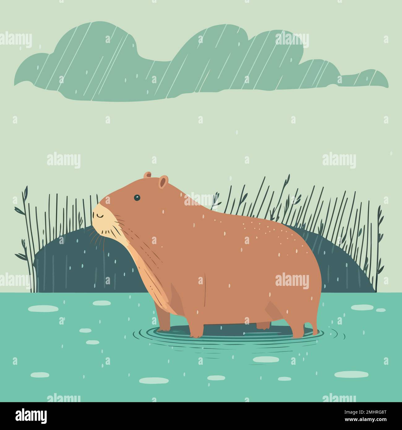 Capybara in a river Stock Vector Images Alamy