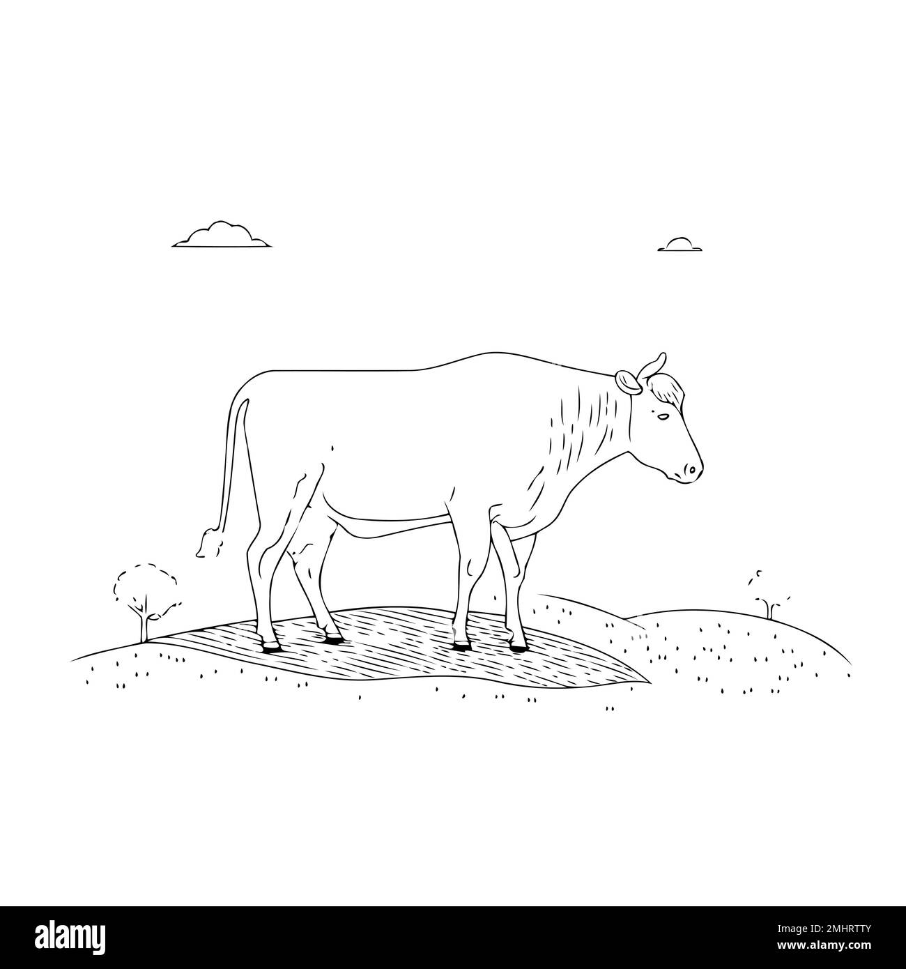 Farm animal vector drawing an adult big cow Stock Vector Image & Art
