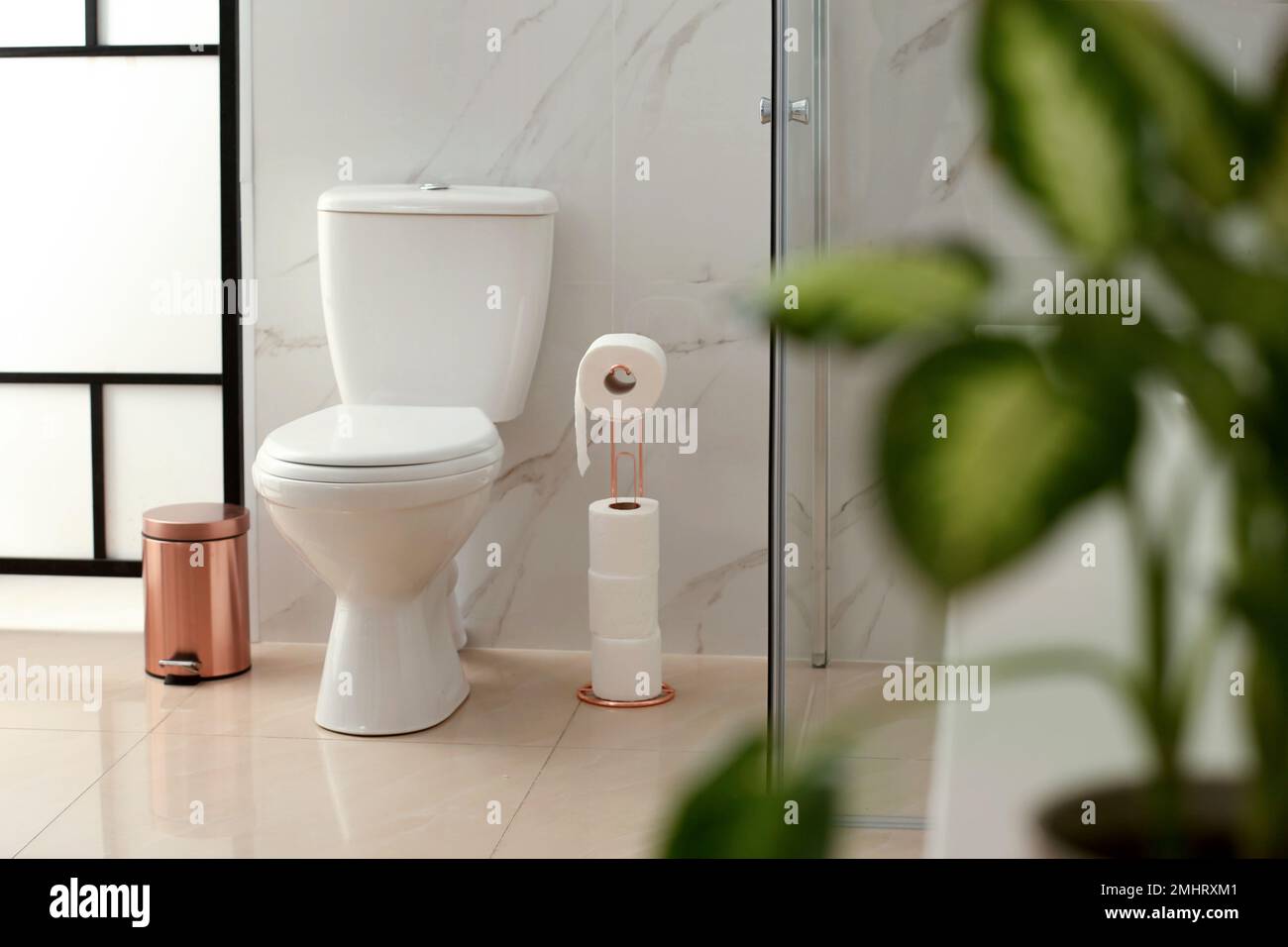 Interior of modern bathroom with toilet bowl Stock Photo - Alamy