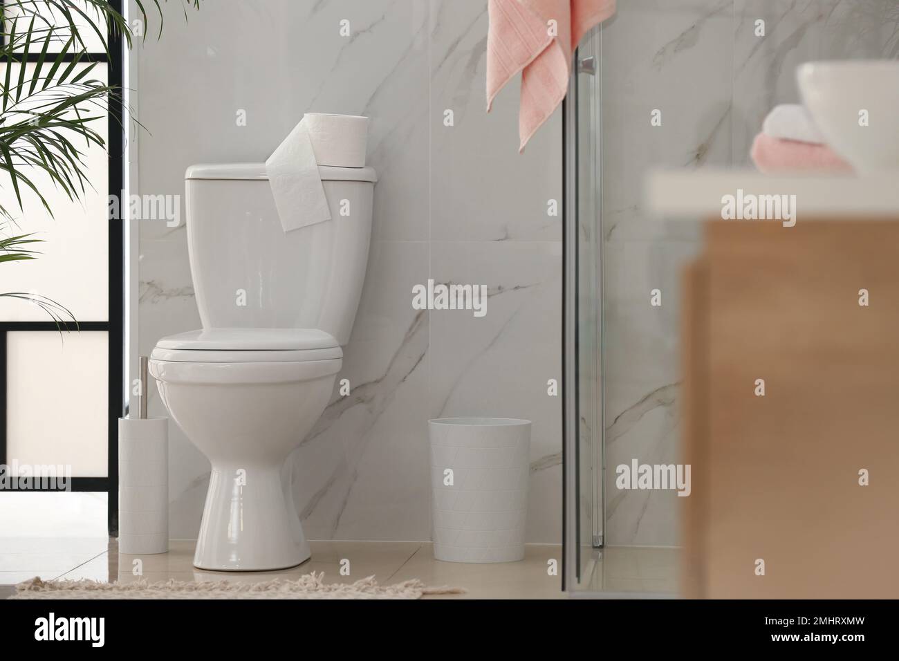 Interior of modern bathroom with toilet bowl Stock Photo - Alamy