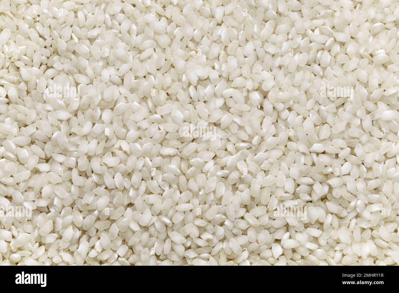 Valencian bomba rice for paella Stock Photo