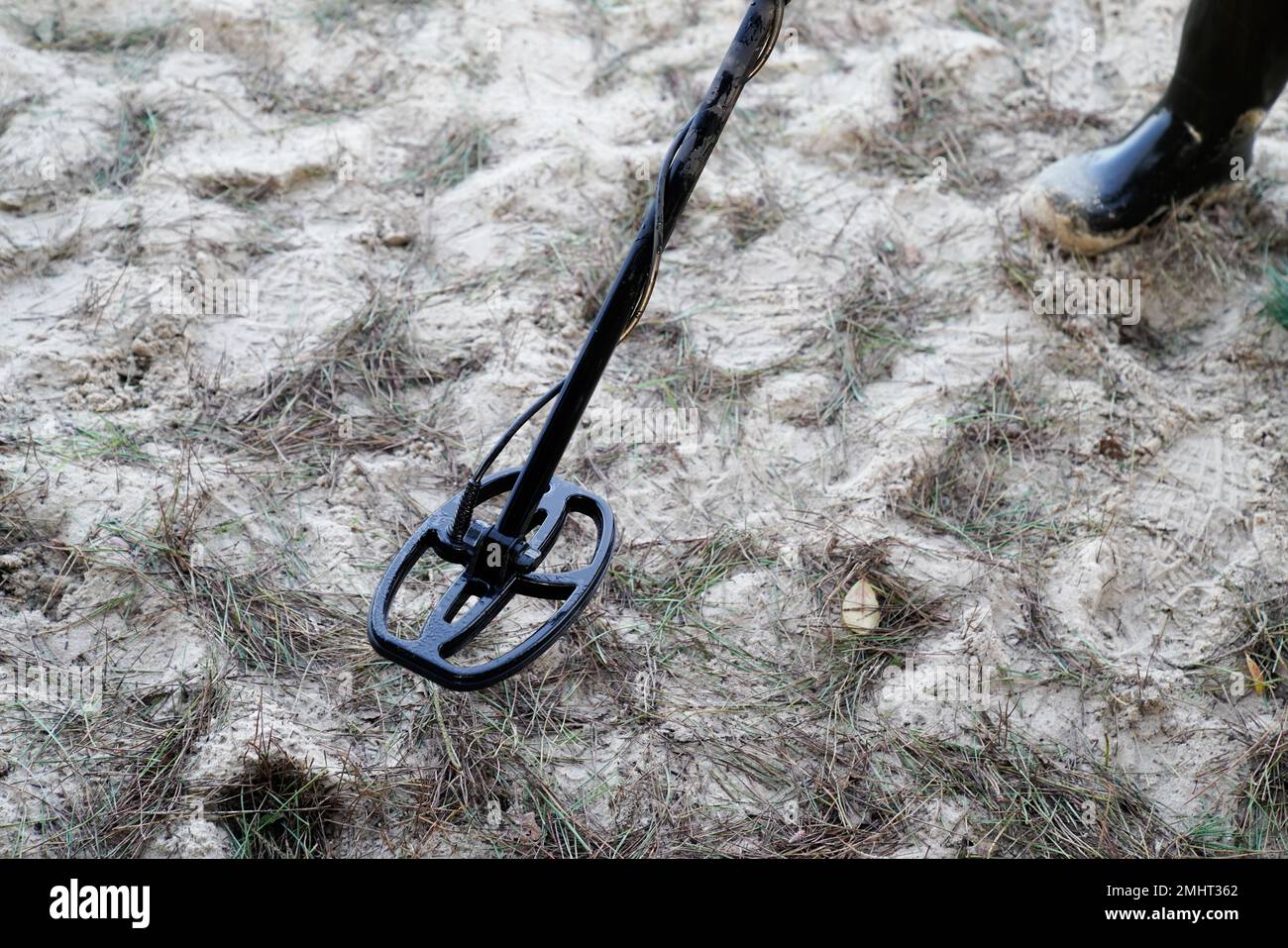 Metal detector in sand beach Stock Photo Alamy