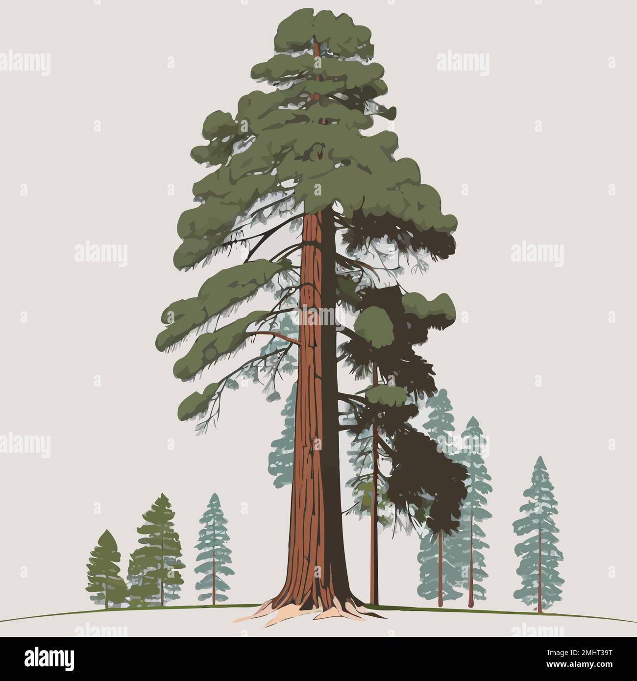 Redwood Tree Silhouette Vector Illustration Hand Stock Vector (Royalty  Free) 1693964533 | Shutterstock