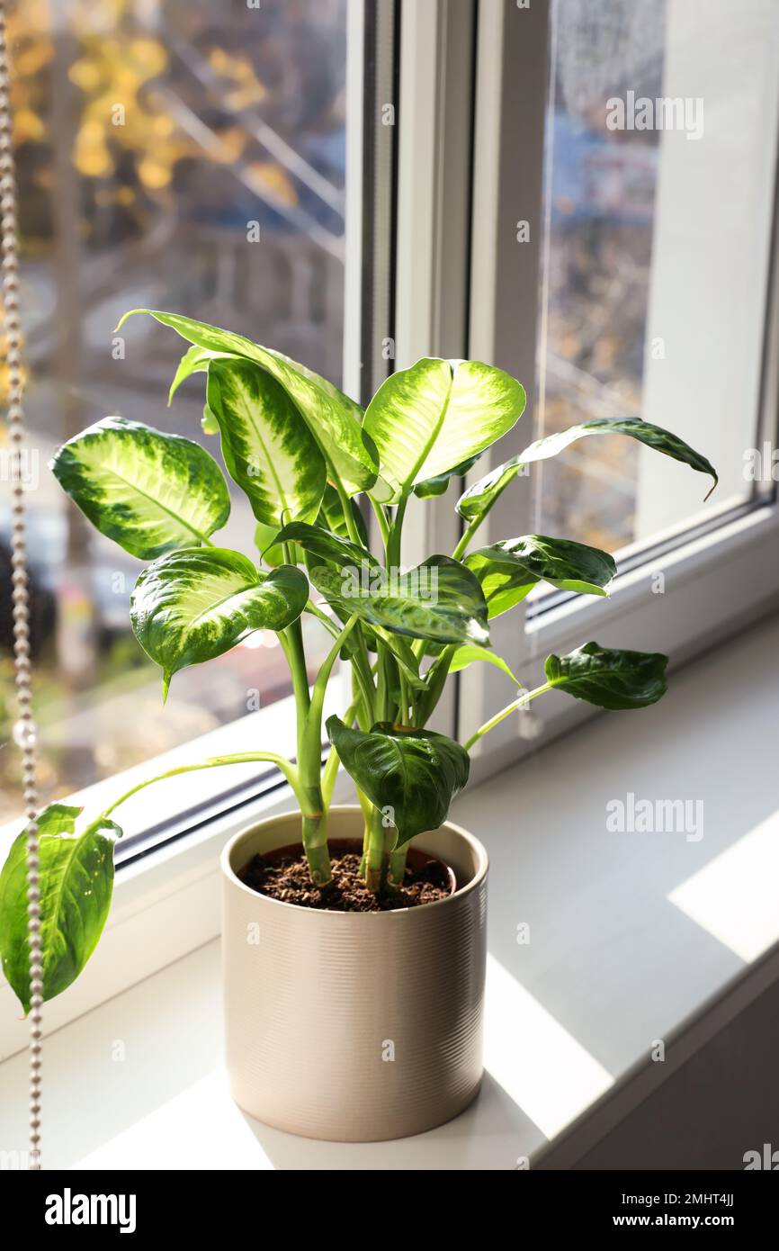 branch plant hanger Metal Tree Branch Plant Hanger
