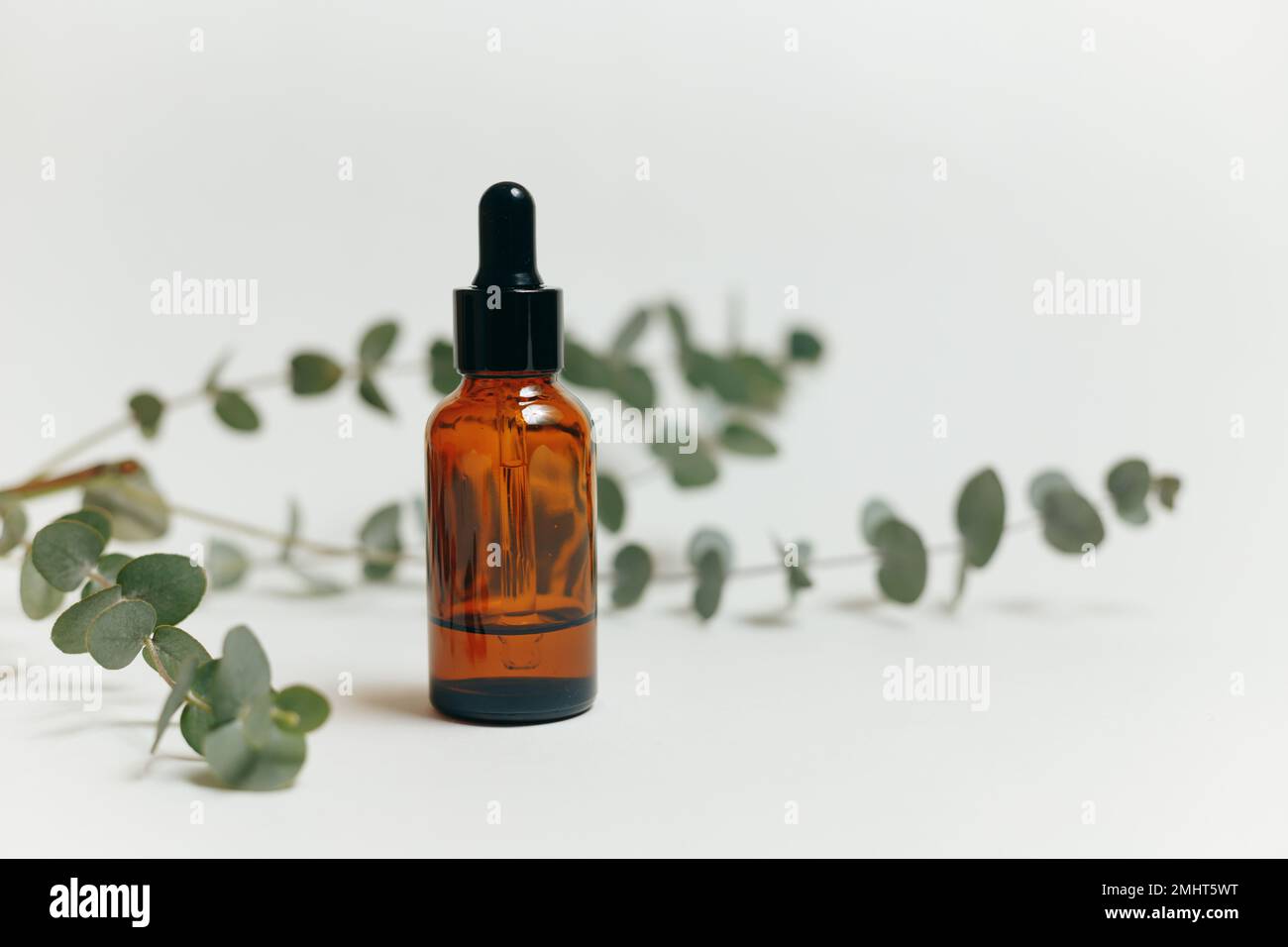 Essential oil or serum cosmetics dropper glass bottle with eucalyptus on white background. Copy space Stock Photo