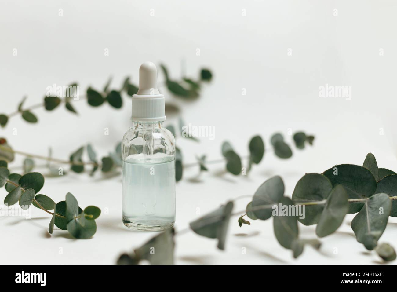 Glass dropper bottle with and branch of eucalyptus near it on white background. Nature Skin concept. Organic Spa Cosmetics. Trendy concept Stock Photo