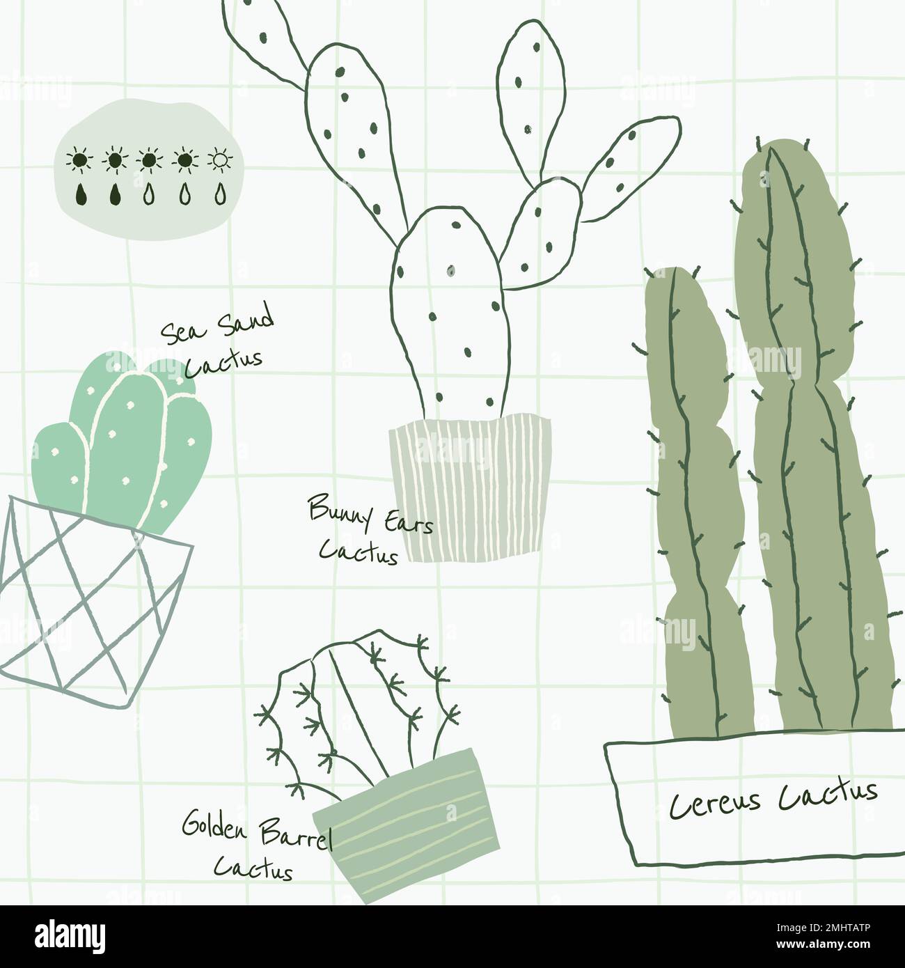 Cactus plant watering chart template vector Stock Vector Image & Art