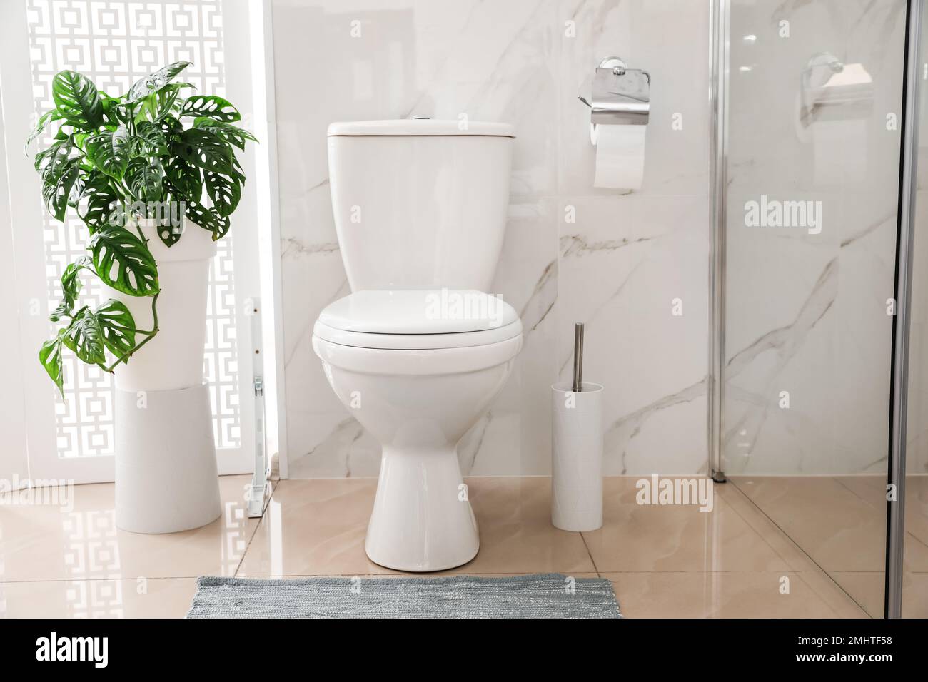 Toilet bowl near shower stall in modern bathroom Stock Photo Alamy