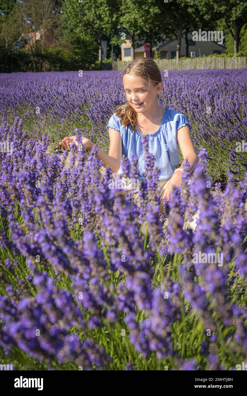 A young teenage girl sits on a lilac field. Happy teenager with long