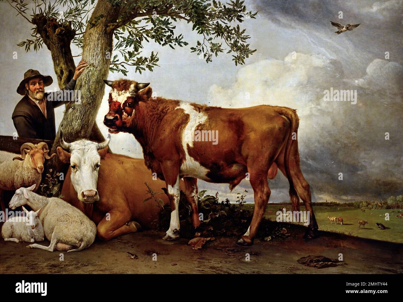 Paulus Potter The bull (ca. 1647)  Paulus Potter 1625 - 1654  Dutch painter specializing in animals and landscapes The Netherlands. Stock Photo