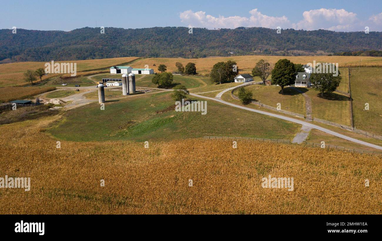 Justice Farms North Carolina