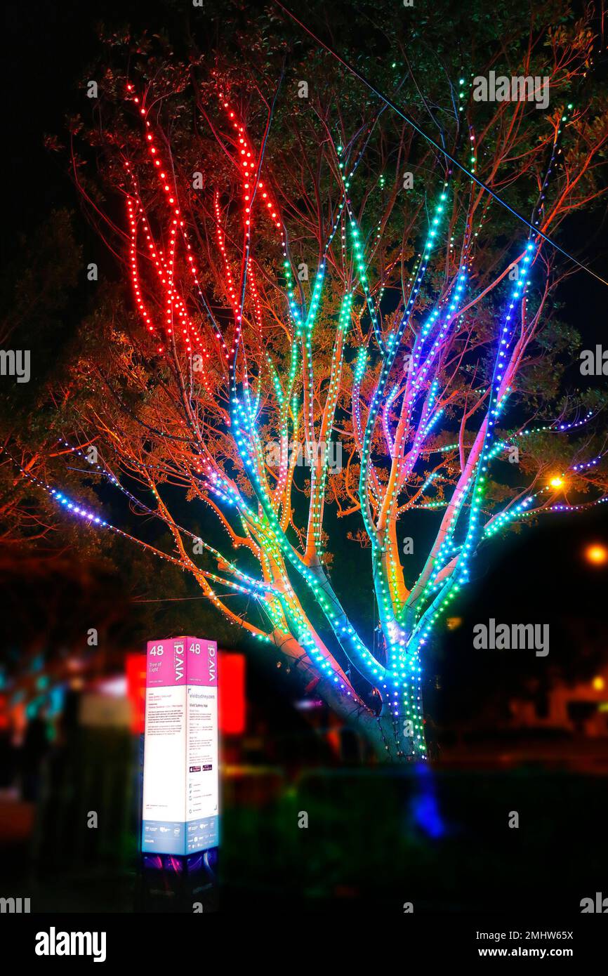 Philips 2024 tree lights