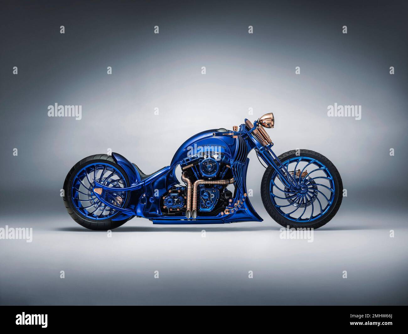 Harley davidson bucherer new arrivals