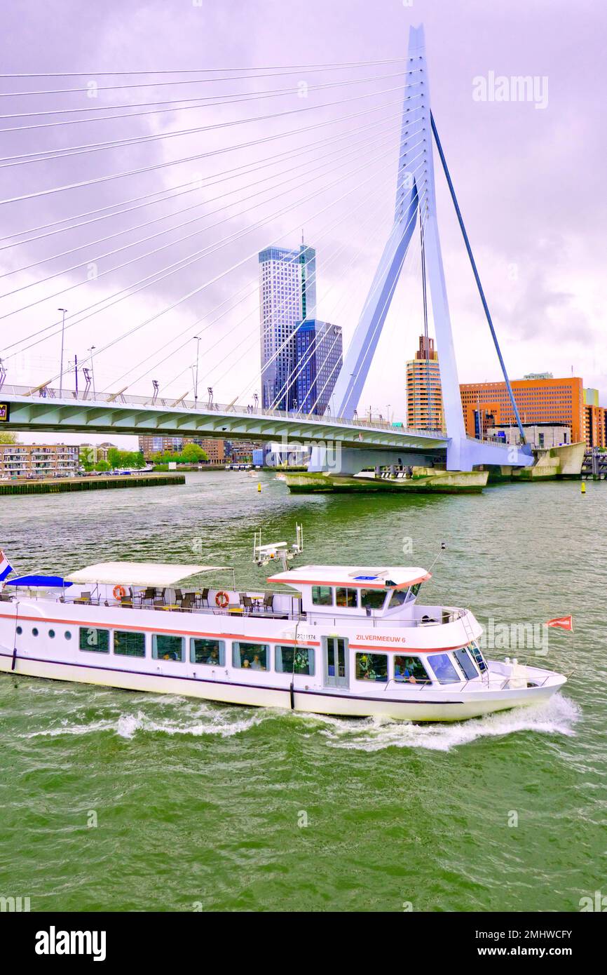 Erasmus Bridge Nieuwe Maas River Modern Architecture Rotterdam