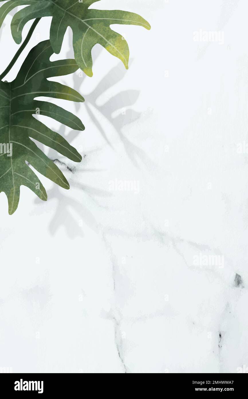 Philodendron radiatum leaf pattern on white marble background vector Stock Vector