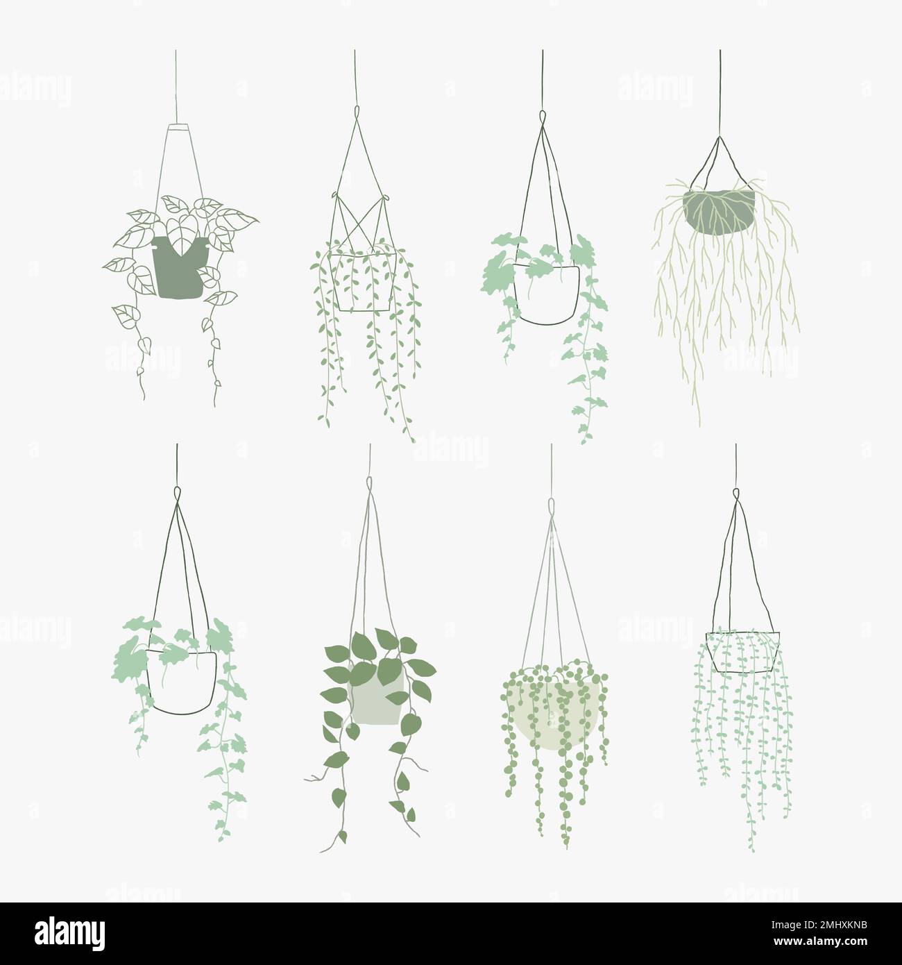 Green hanging plant vector set doodle style Stock Vector