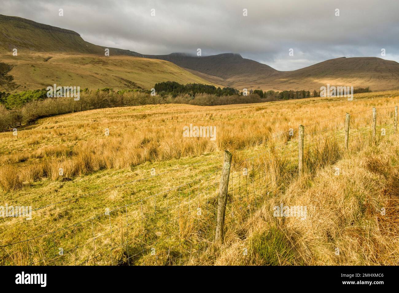 Upper Neuadd Valley with Corn Du, Pen y Fan and Cribyn in the background in the Central Brecon Beacons Stock Photo