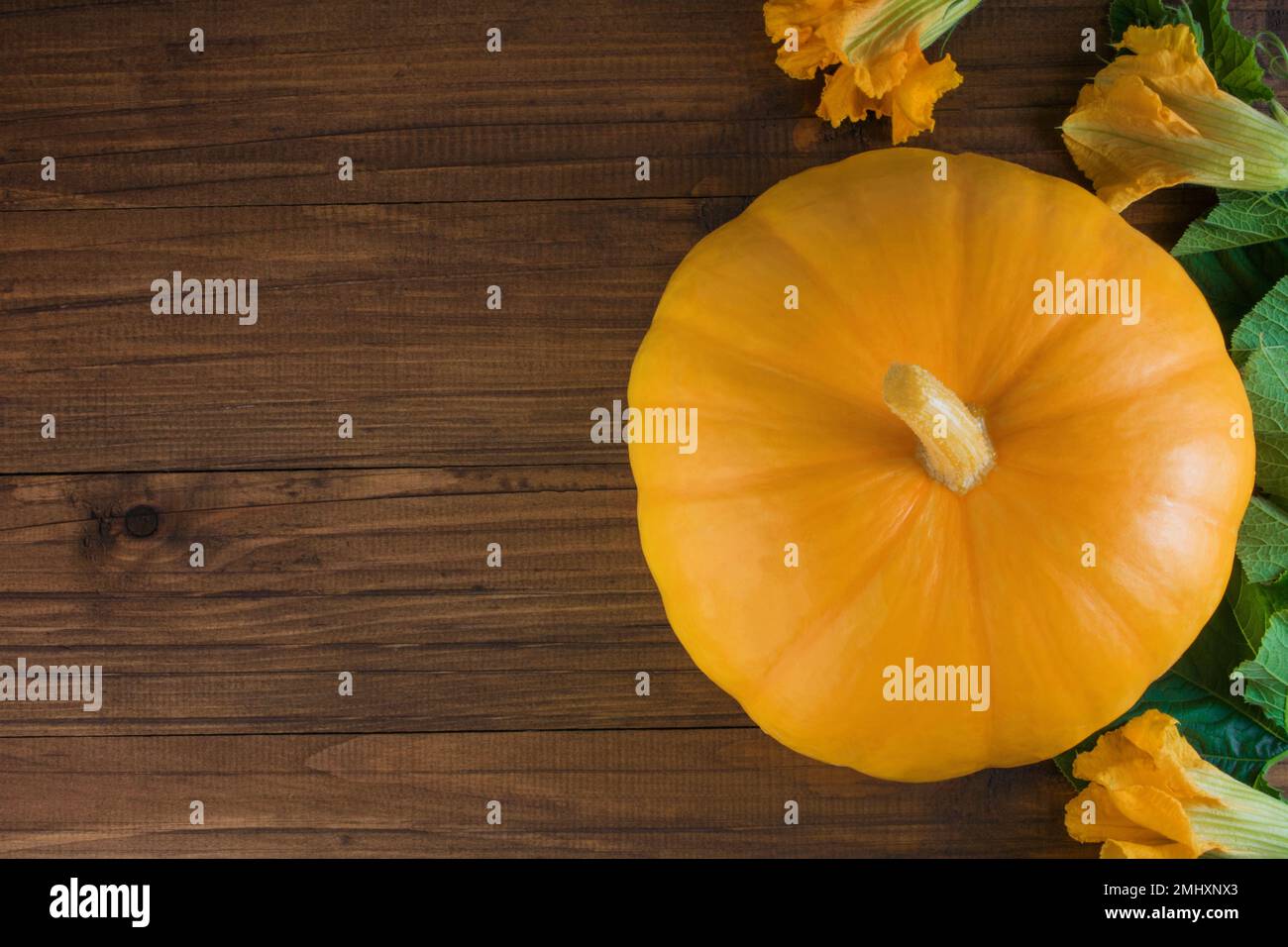 Pumpkin on a wooden background. Autumn harvest or halloween concept. Copy space Stock Photo