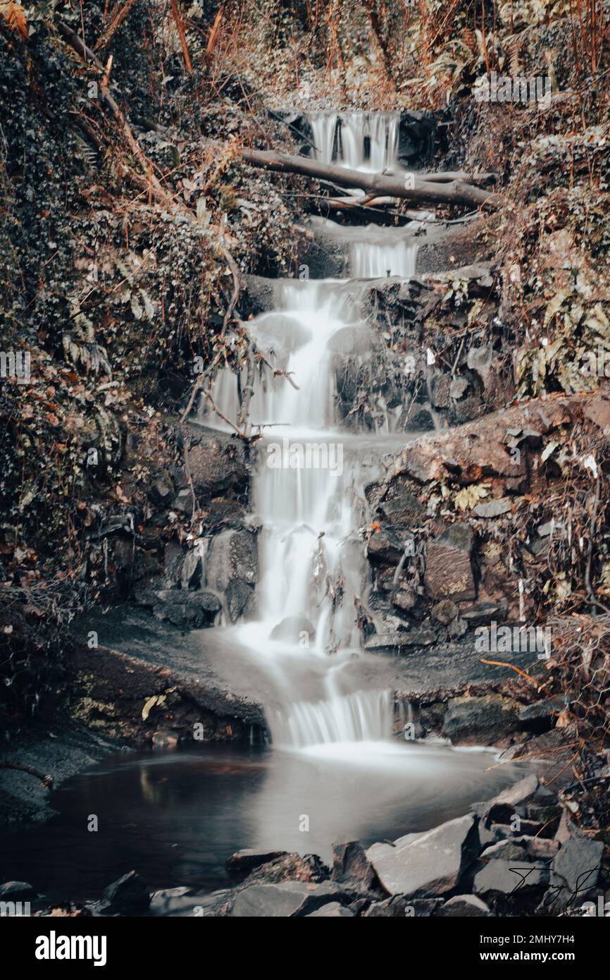 Hidden waterfalls in Telford town Stock Photo Alamy