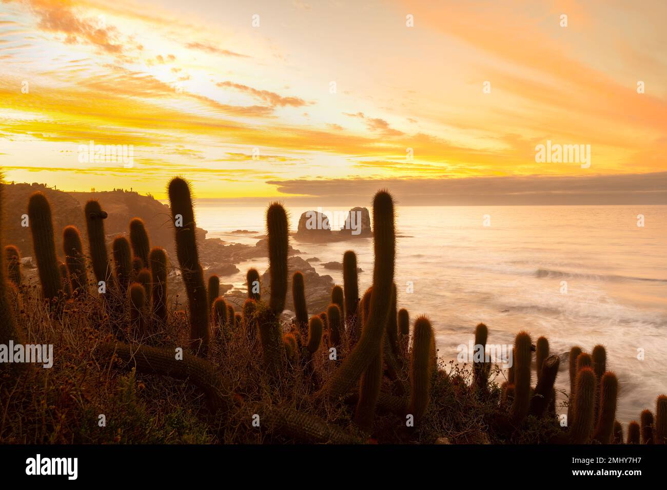 Cliff in Punta de Lobos at Pichilemu, VI Region, Chile Stock Photo