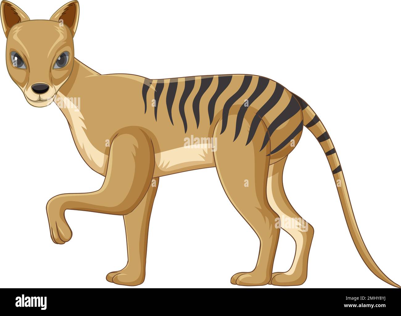 Tasmanian tiger extinct animal vector illustration Stock Vector Image ...