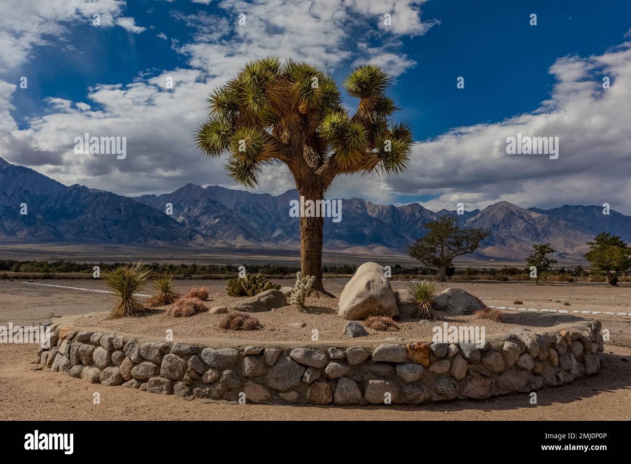 Joshua Tree roundabout in old staff residences area, now razed, at