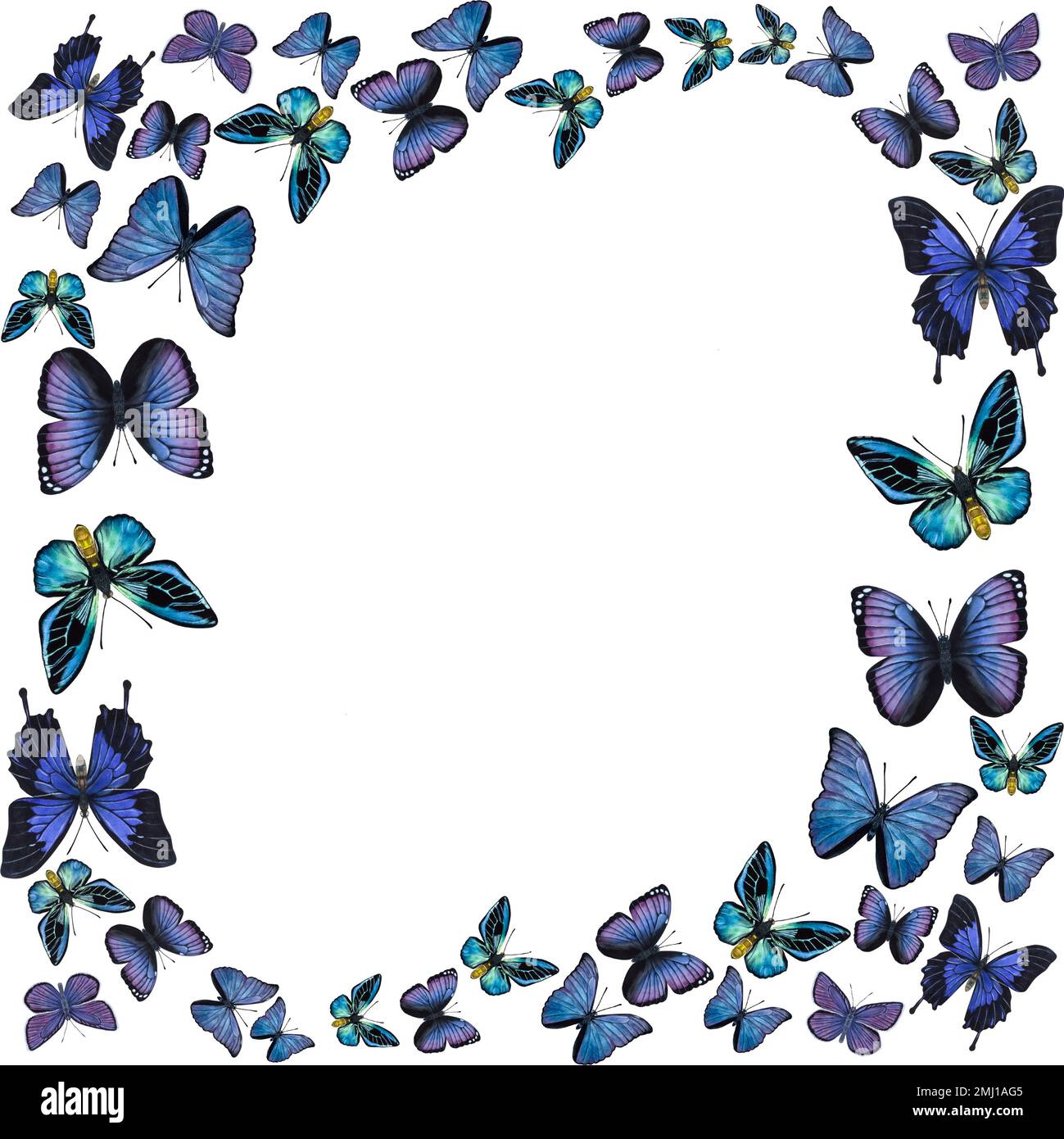 Frame blue violet butterflies. Hand-drawn watercolor illustration isolated on white background. Can be used for card, poster, stickers, scrapbook. Stock Photo